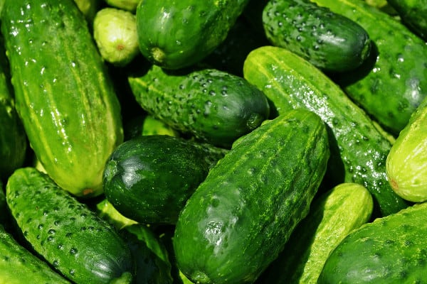 cucumbers