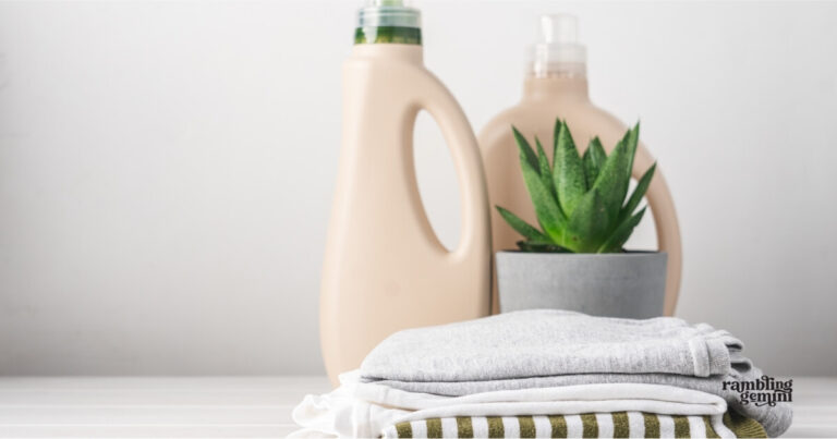 Versatile laundry detergent bottles, succulent plant, and folded clothes for home organization and laundry room decor.
